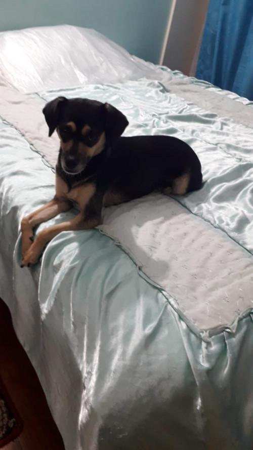 Minnie