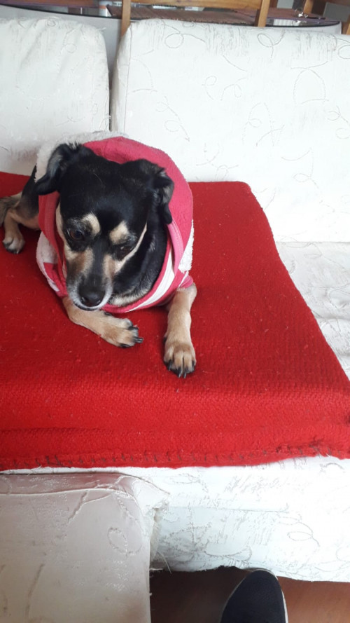 Minnie