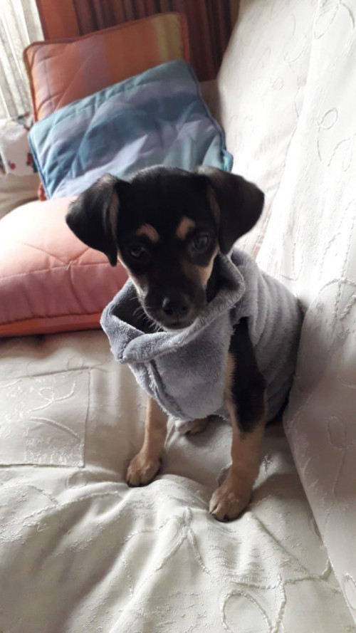 Minnie