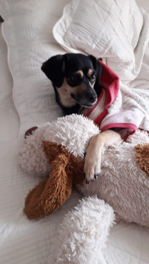 Minnie