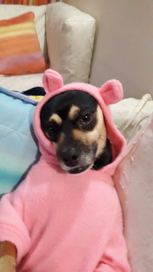 Minnie