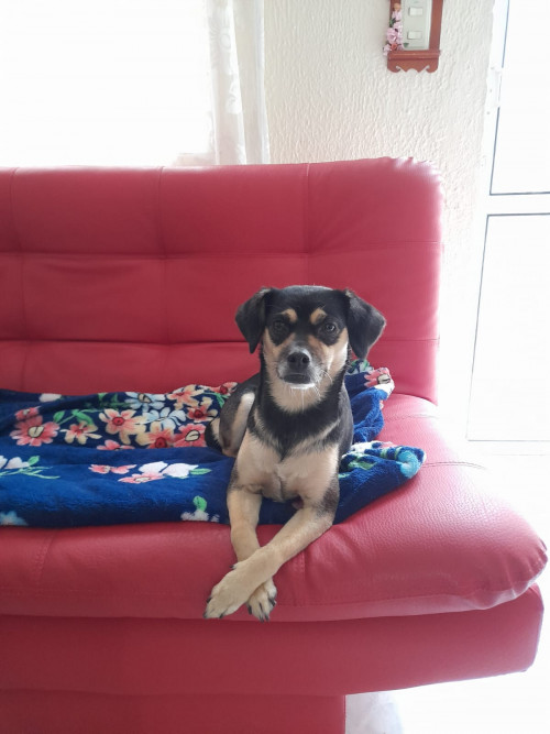 Minnie