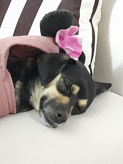 Minnie