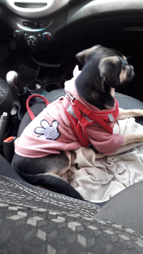 Minnie