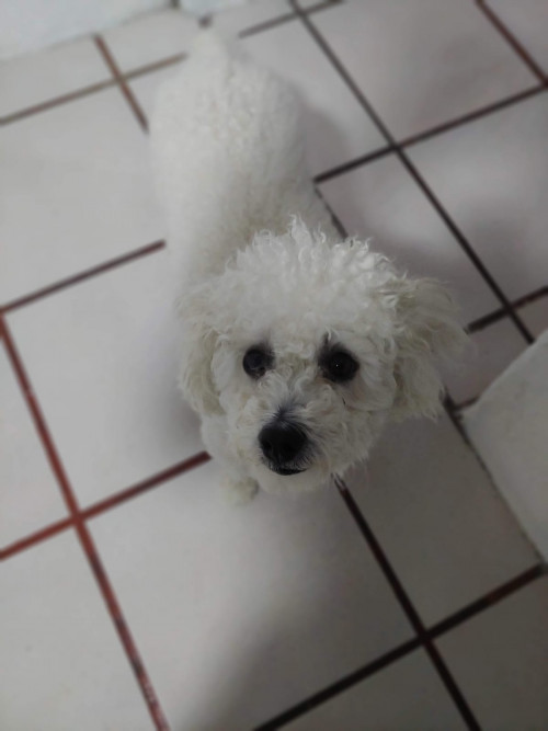 Frida