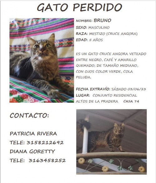 Bruno