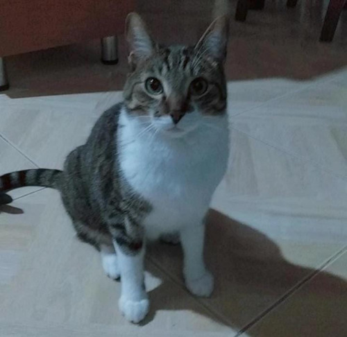 Coco