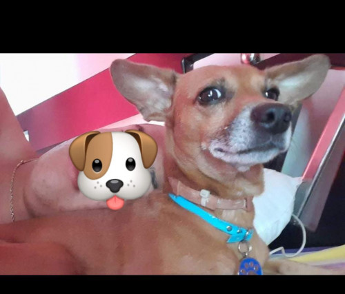 Yerry