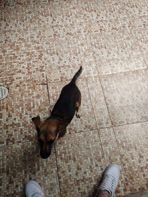 Matilde