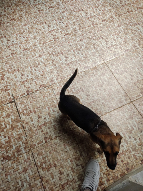 Matilde