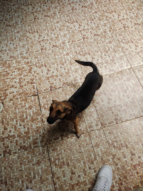 Matilde