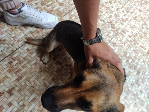 Matilde