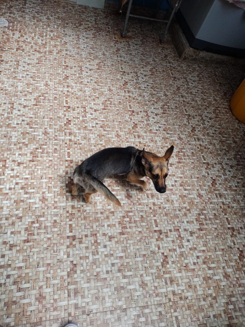 Matilde