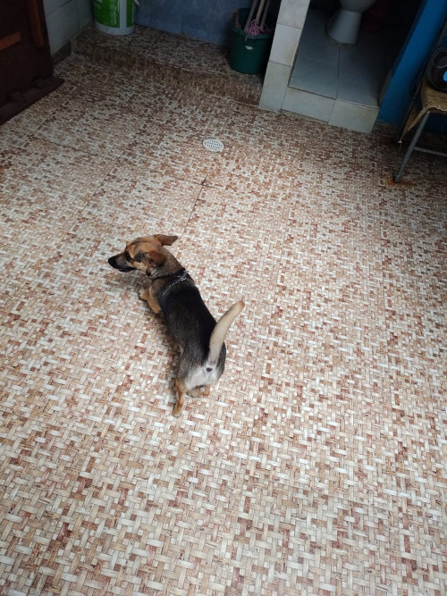 Matilde