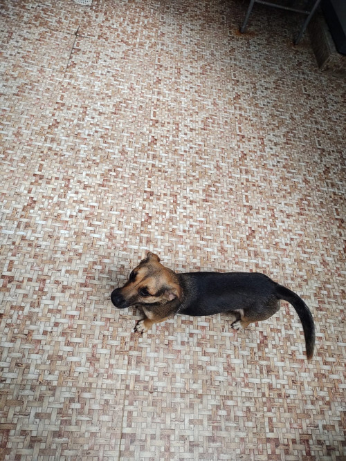 Matilde