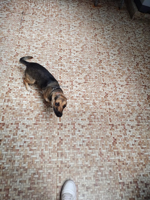 Matilde