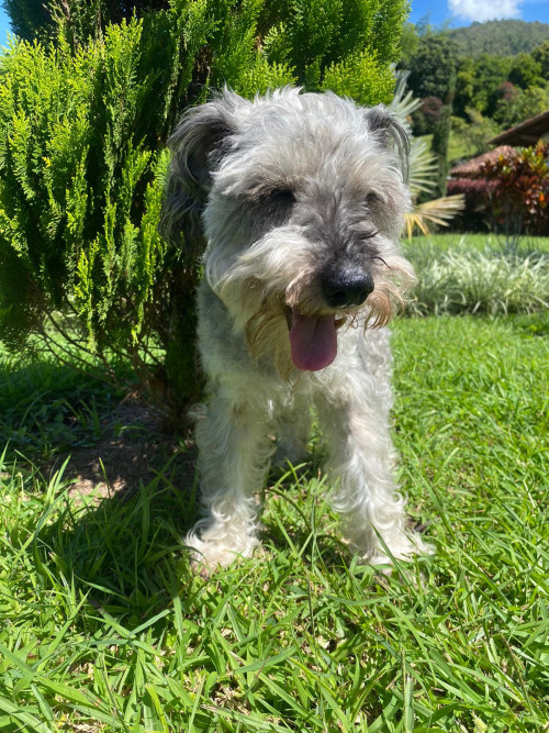 Peggy