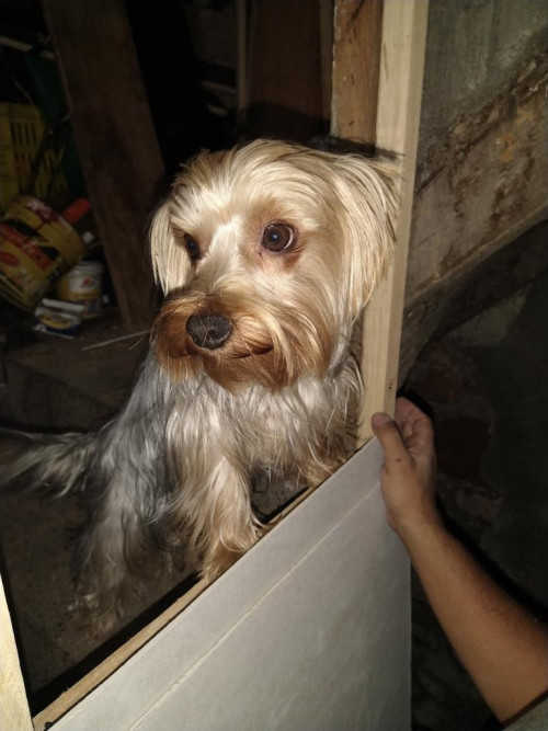 Max