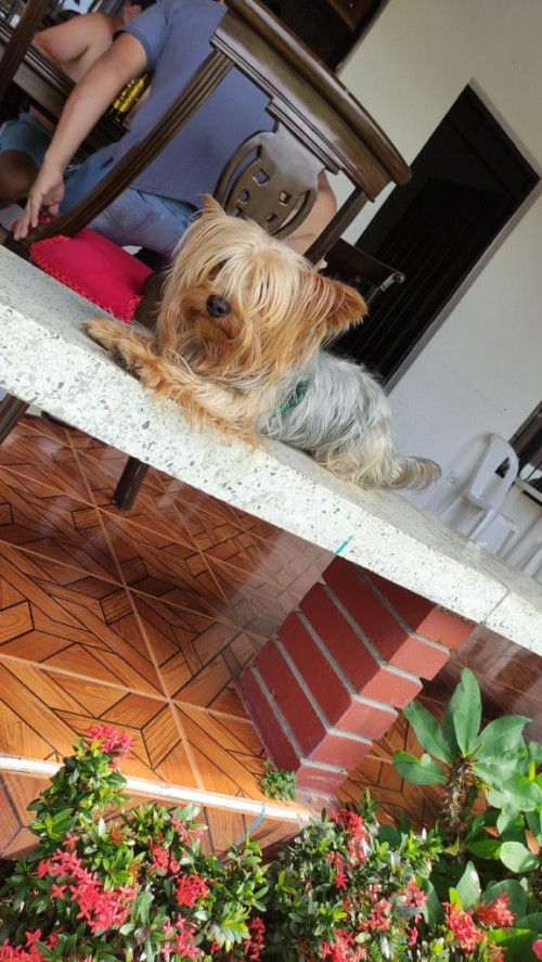 Max