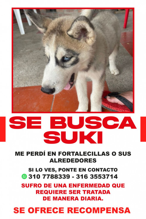 Suki