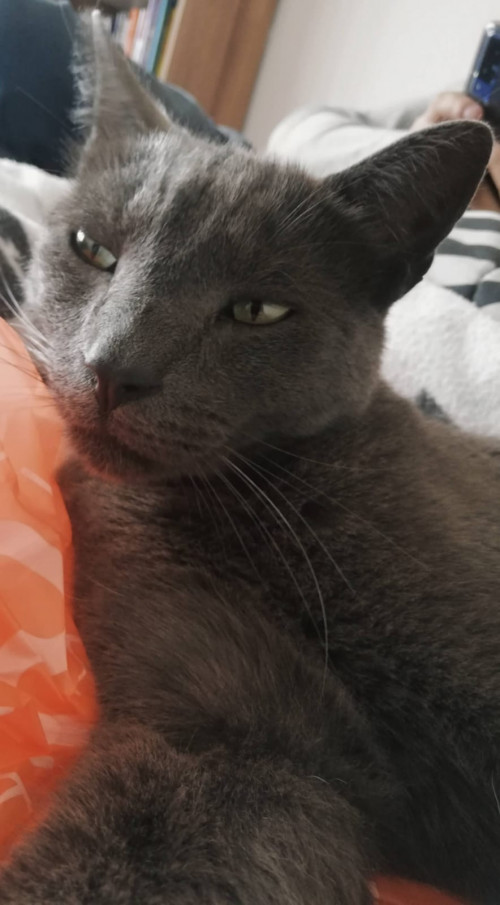 Zeus