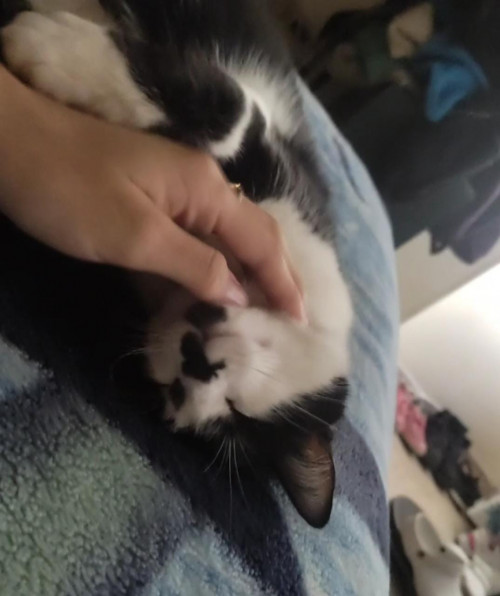 Mei