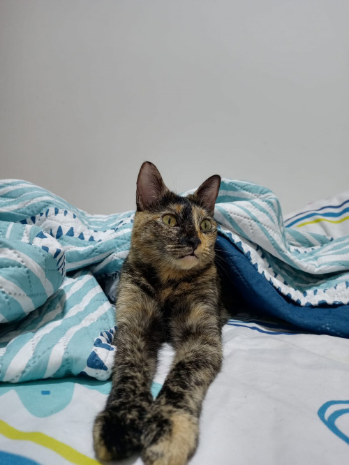 Zoe