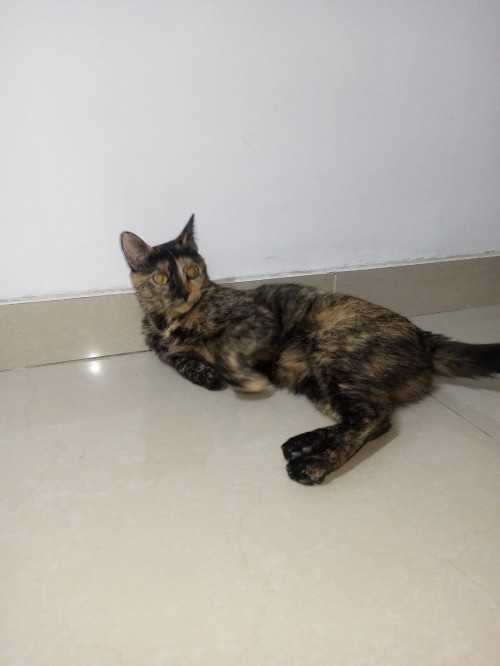 Zoe