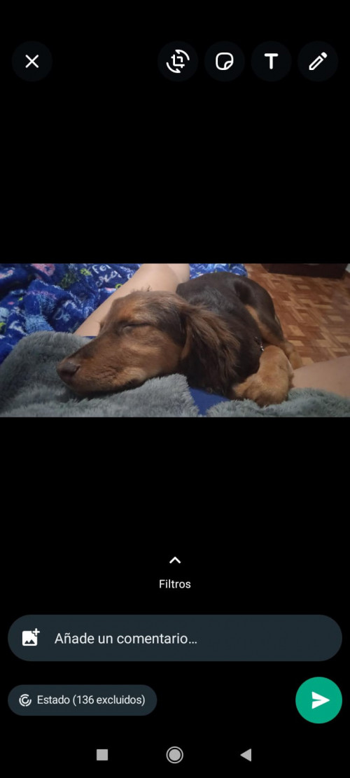 Canela