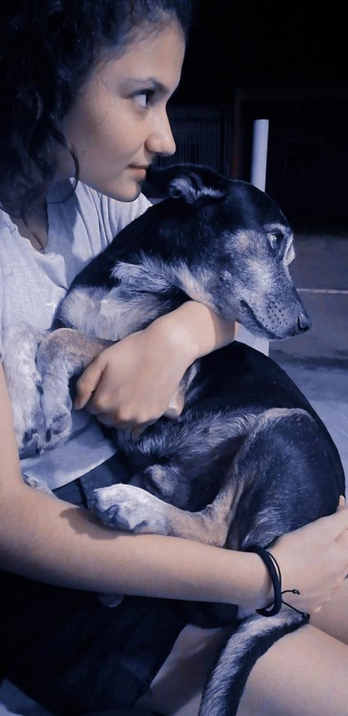 Docky
