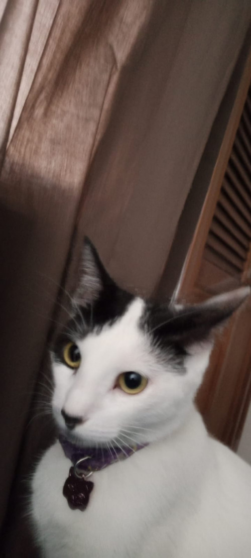 Molly