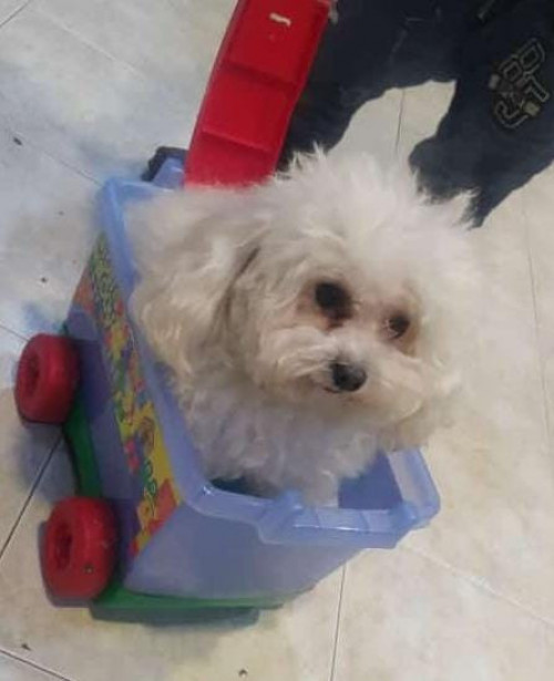 Charly
