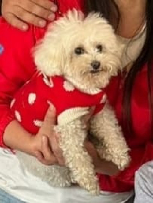 Charly
