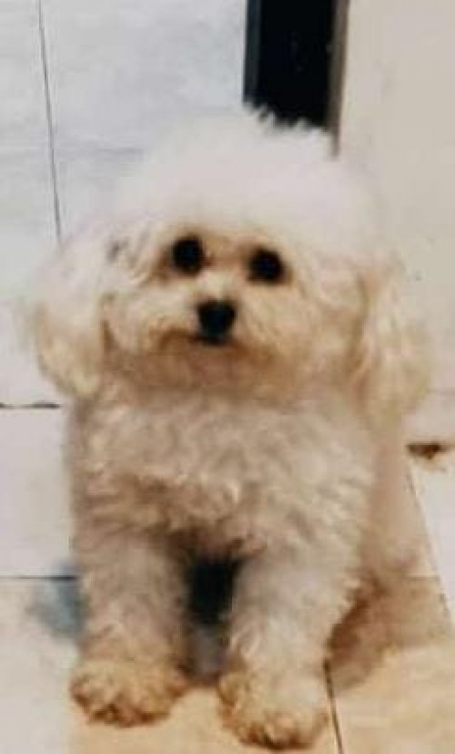 Charly