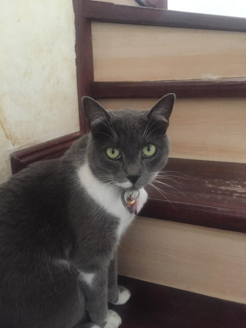 Susy