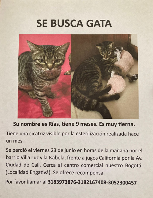 Rías