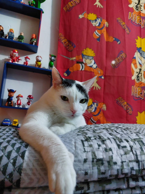Tony