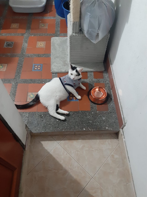 Tony