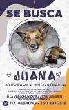 Foto de Juana en  Bogotá #4