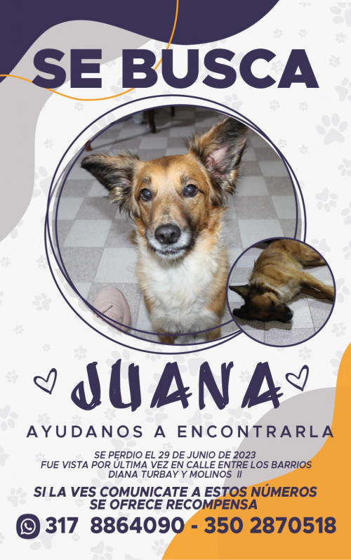 Juana