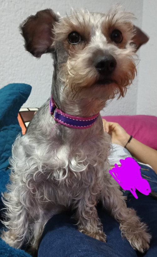 Estrella
