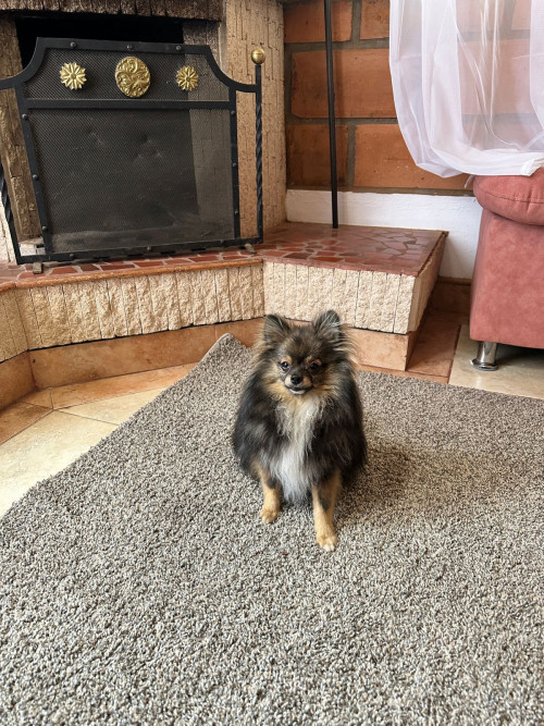 Romeo