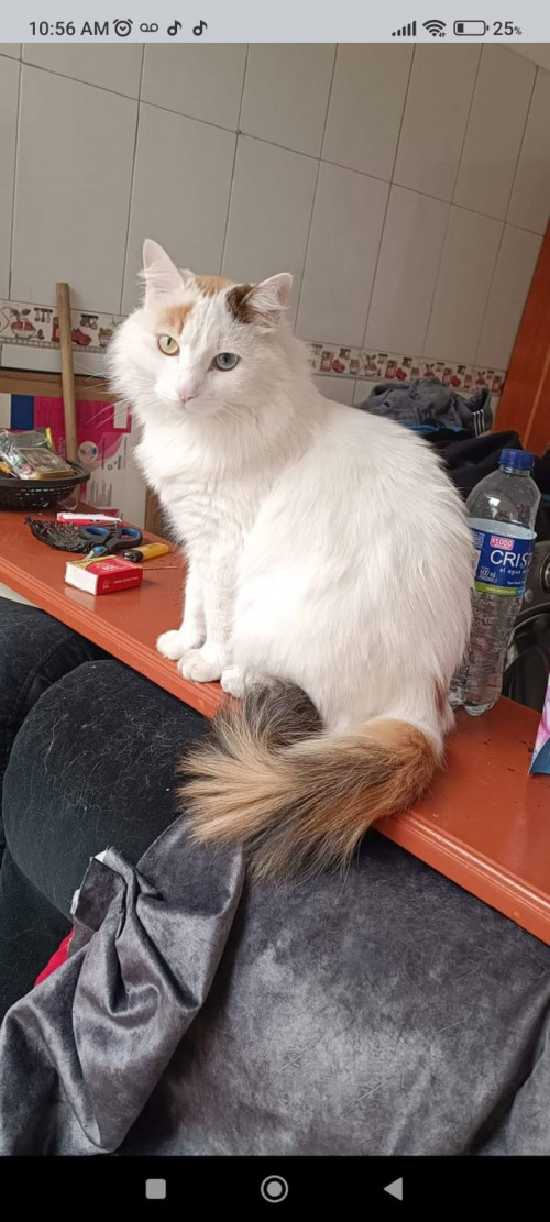 Luna