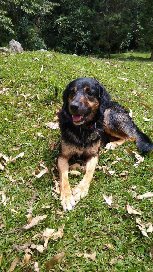 Tayson