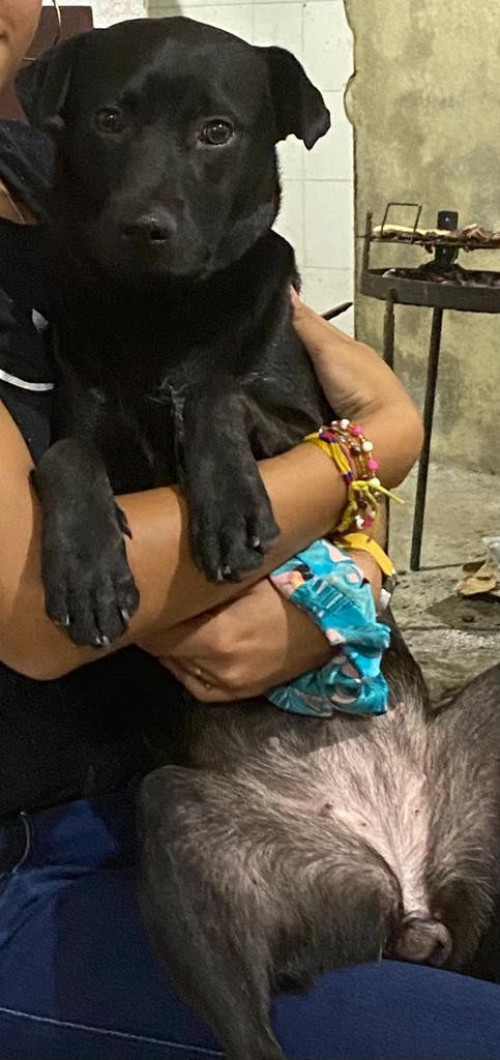 Sacha Y Pinina