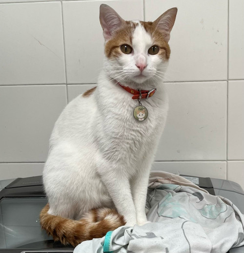 Max