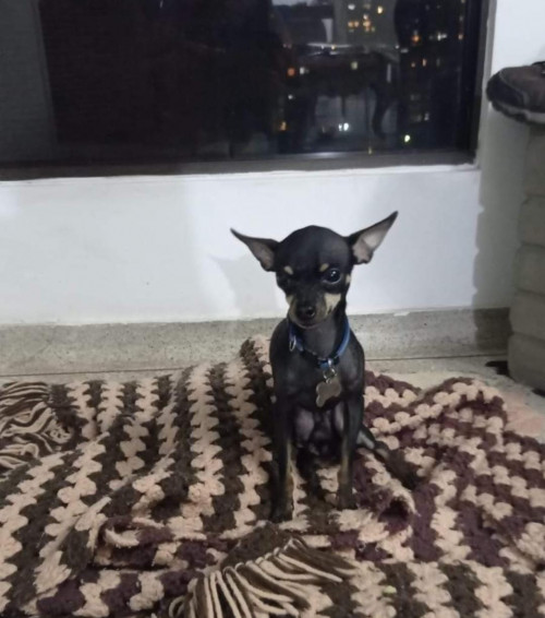 Cleto