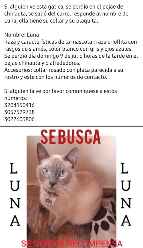 Luna