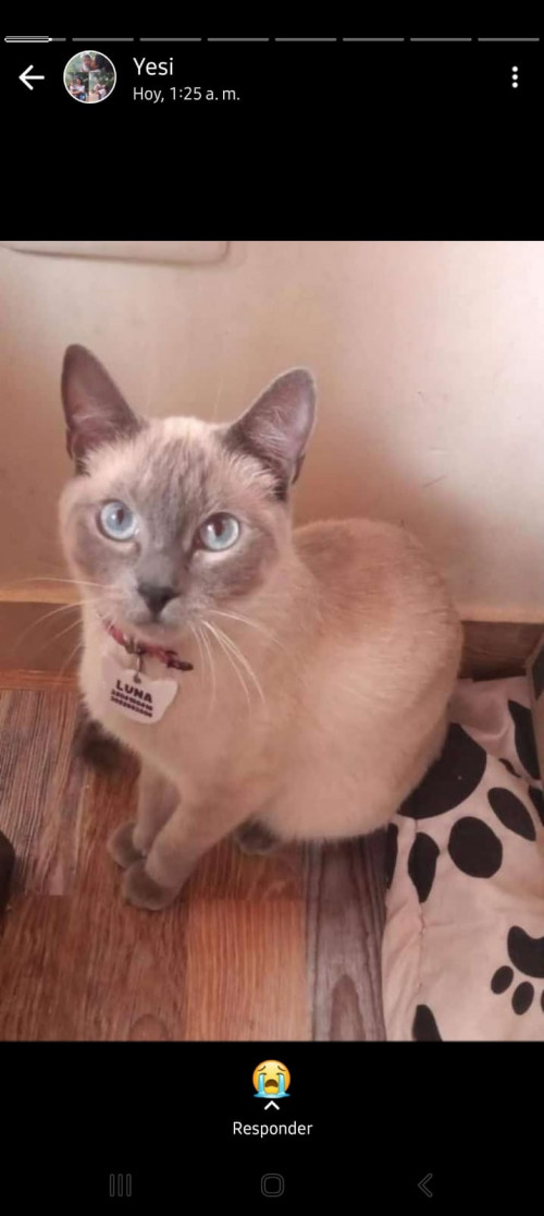 Luna