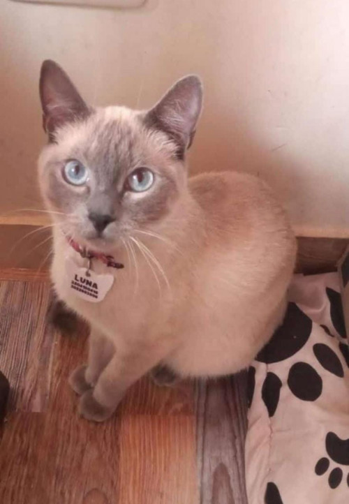 Luna